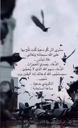 #ساعة_استجابة #يوم_الجمعه #اذكار_المساء #اجر_لي_ولكم #دعاء #سبحان_الله_وبحمده_سبحان_الله_العظيم #استغفرالله_العظيم_واتوب_اليه #الصلاة_والسلام_عليك_ياحبيبي_يارسول_الله #تسبيح_استغفار_اذكار_دعاء #لايك_متابعه_اكسبلور #لايك 