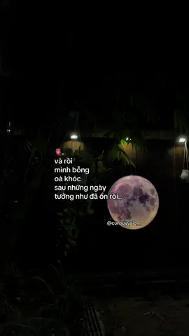 #cunsuyvaio 