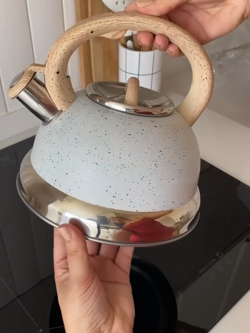 Chaleira Roma Inox 2,7L com Apito Compatível com fogões de Indução Vanilla 4875/100 Brinox. Encontre na Shopee agora! https://s.shopee.com.br/8AJP2s73os?share_channel_code=1 #vaiprofy #fyppage #fypp 