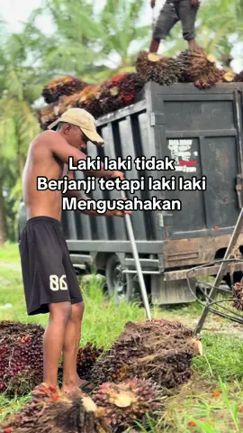#aktorsawit #storysawit #pejuangrupiah💸 #anaktani #kurirsawit #fyp #pemuatsawit #lakilakisejati #pekerjakeras 