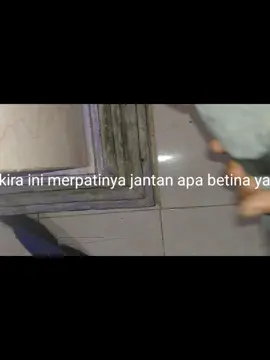 #fyp 