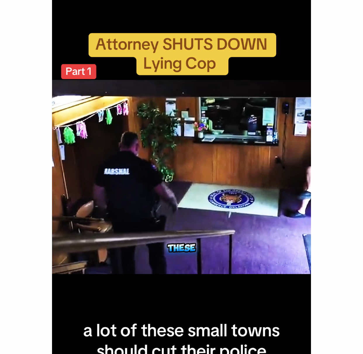 #police #law #audit #cops #fyp #policeofficer #viral 