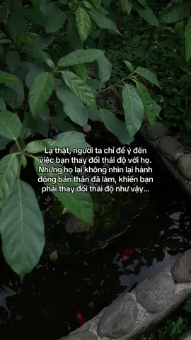 …#tamtrang #story 