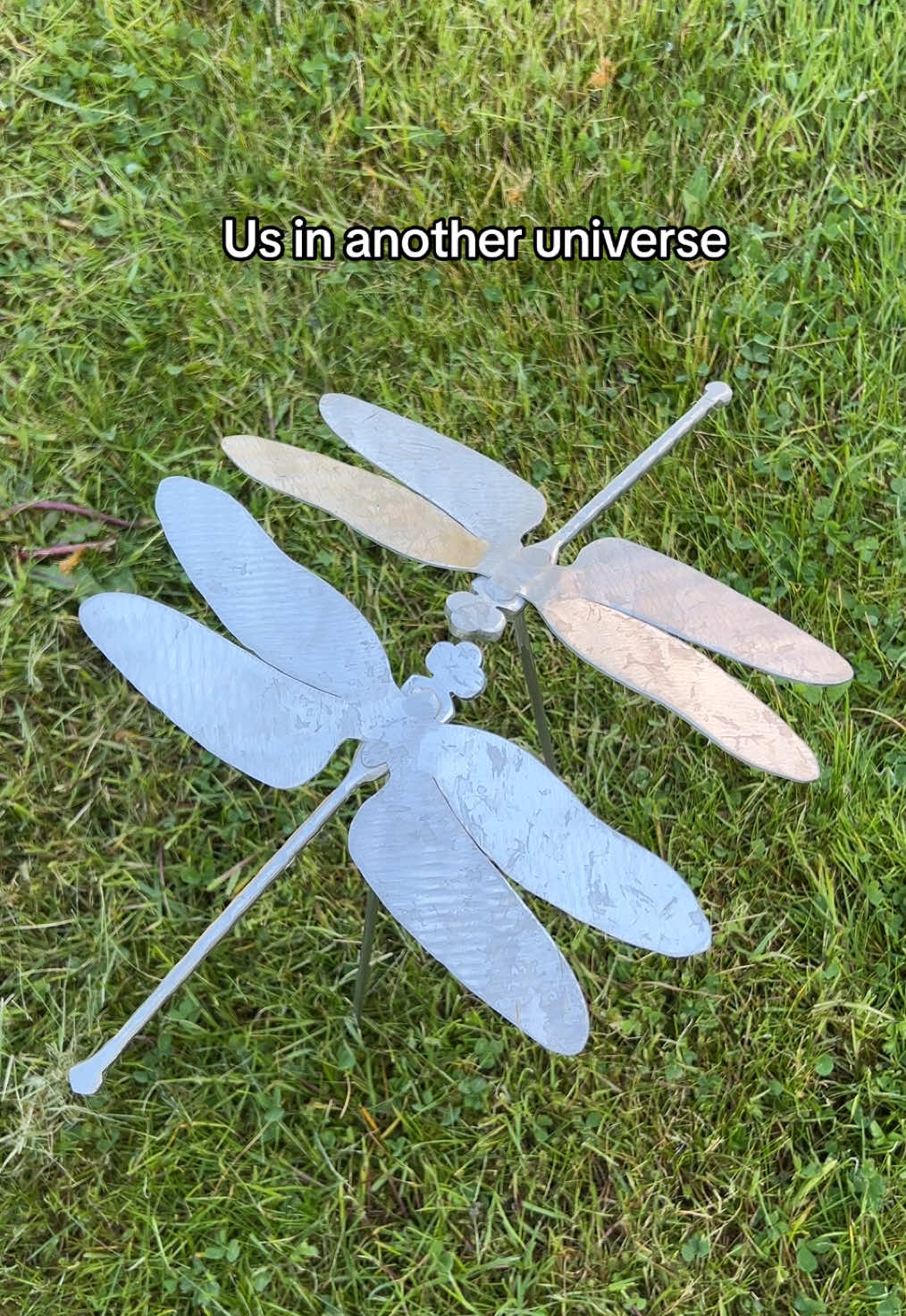 Us in another universe 🥹🫶 With every dragonfly, a memory lives on. 💜 Click the link in our bio to learn more. Video description: stainless steel dragonflies. In a field of solo dragonflies two are together facing one another. Text in the screen reads ‘us in another universe’. #usinanotheruniverse #twinflames #inmemory #dragonfly #hospice #fyp #us #meandyou #sidebyside #ashgatehospice @James Sutton Sculpture 