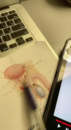 #🤣🤣🤣  زعلانين والا مبسوطين ؟ 😂