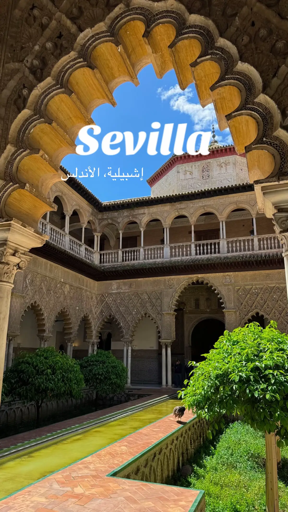 #اشبيلية #الاندلس #اسبانيا #سفر #sevilla #spain #travel #traveling #neture #tiktoktravel #photography 