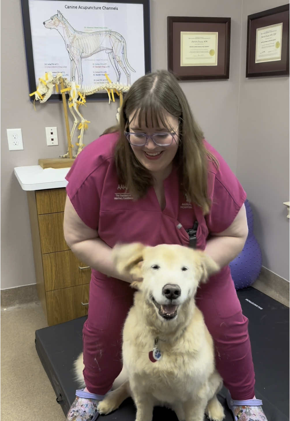 Wiggle those ears! #trending #apah #lakefieldvetgroup #emergencyvet #katytx 