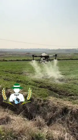 #smartfarmer #topxgun #penjwen #halabja #الشعب_الصيني_ماله_حل😂😂 #sharazur #درۆن #کرمانشاه 