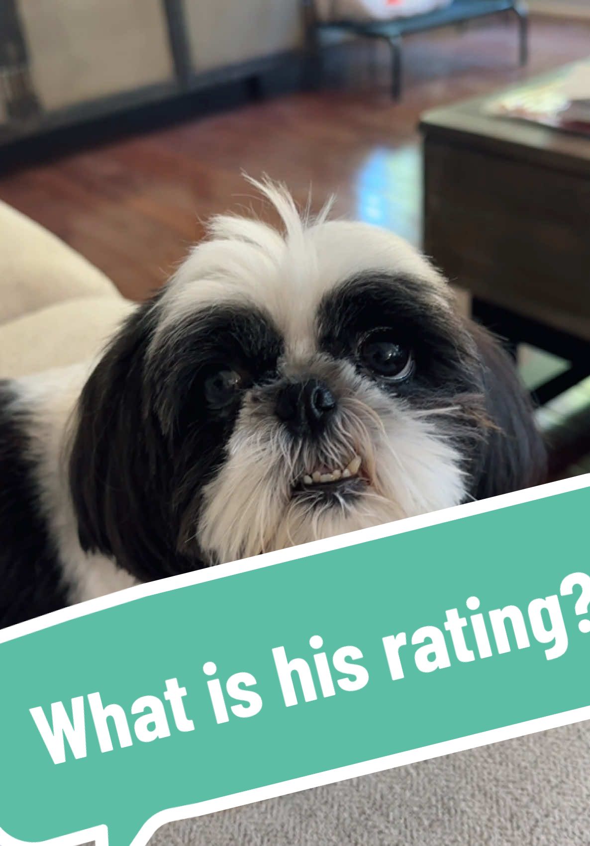 What rating do you give Arnold? Is he a 10?