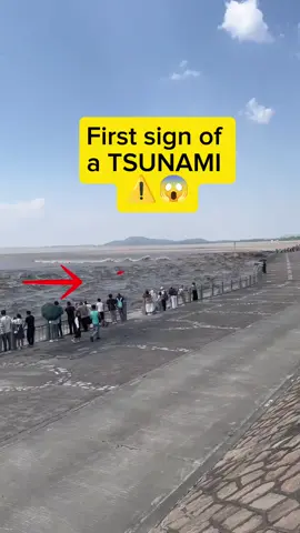 If you see that run away ⚠️😱#terrifying #sea #ocean #waves #dangerous #water #nature #tsunami #danger 