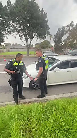 When Kindness Met the Law#mowing #mowingthelawn #mowingthegrass #mowingseason 