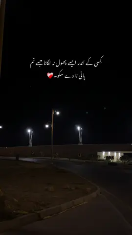 بے دھیانی سے صرف پھول ہی نہیں انسان بھی سوکھ جاتے ہیں۔🙂 #aestheticvideos #foryoupage❤️❤️ #status 
