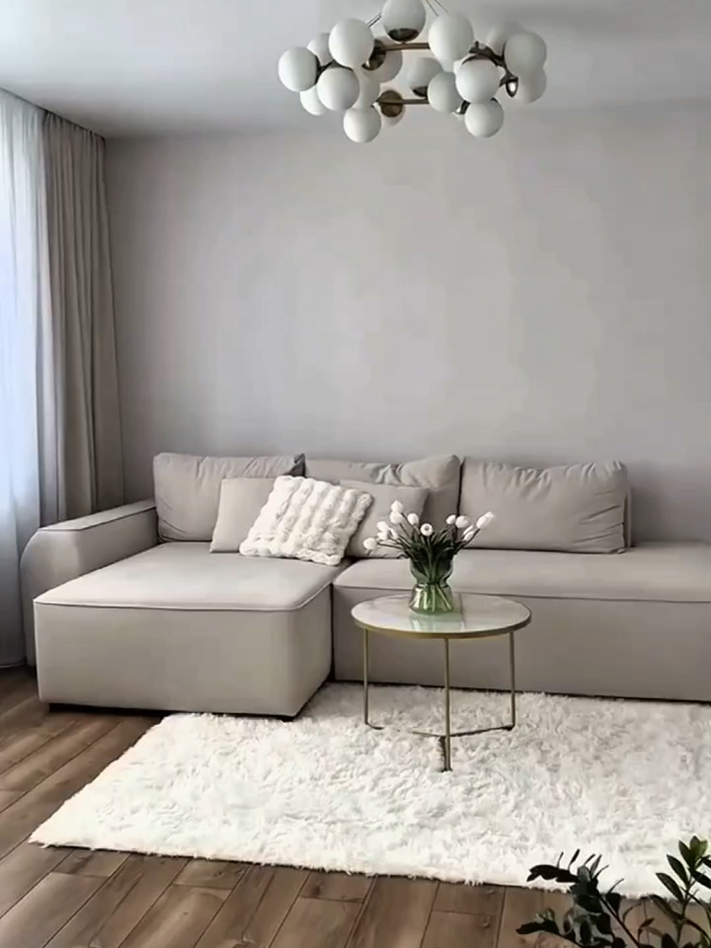 INCRÍVEL E LINDO TAPETE FELPUDO DE LUXO PARA SALA  #achadinhos #achadinhosdashopee #achadinhosshopee #tapete #tapetes #tapetefelpudo #tapetesala #tapetedesala 