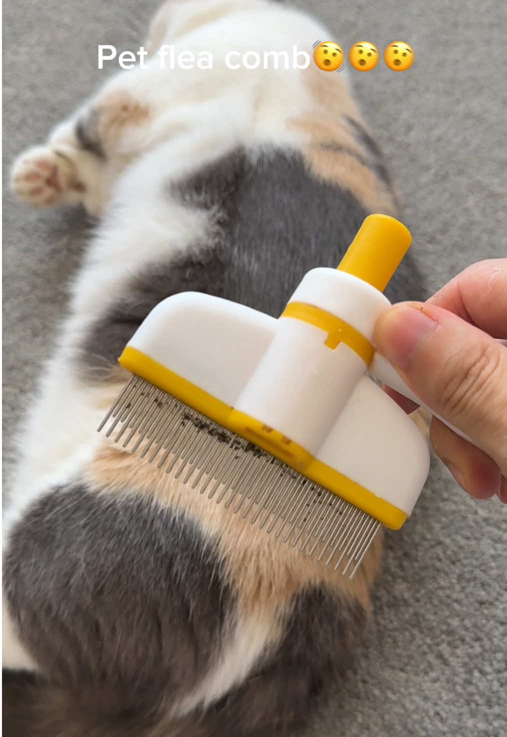 Pet flea comb🐈🐶#pethairremoval #CleanTok #tiktokmademebuyit #fyp #petproducts #PetsOfTikTok #petcomb 