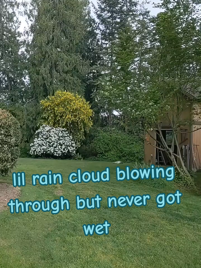 had rain cloud on Wednesday but we never got wet it just went by us and stayed dry #furryfriends #furry #fyp #furrytiktok #washington #duet #furrypride 