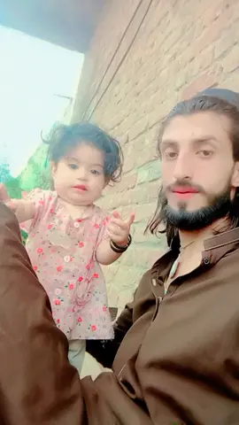 #creatorsearchinsights #tik_tok #USA #TREEDANG #Rahim Afridi 