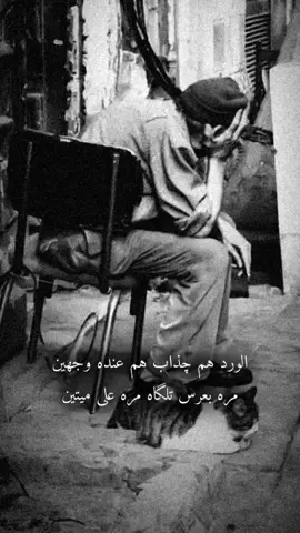 #CapCut  #عبد_الامير_ادريس #موال_اشتدد_شوقي_زرت_قبرك_باكين #🥺 