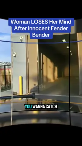 Woman LOSES Her Mind After Innocent Fender Bender #cops #copsoftiktok 