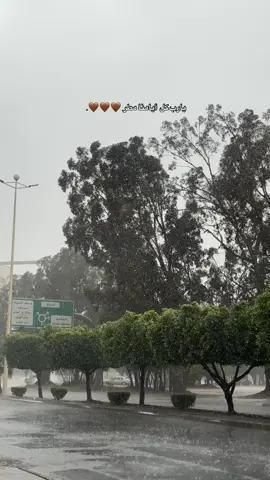 #مطر #rain #الطايف #اكسبلور #explore #4u #fyp #taif #foryou 
