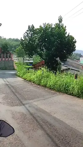 Bogor
