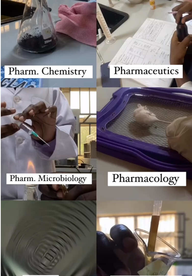 My favorite practical has to be pharm. microbiology (even though  it’s time consuming) What’s your favorite? #pharmacytiktok #pharmacyschool #creatorsearchinsights #fypp #oreoraindropsss 