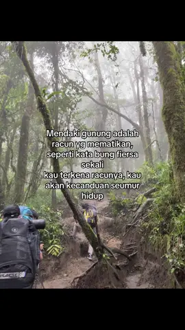 yaps #quotespendaki #pendakigunung #pendakifomo #gunung #fiersabesari #fyp 