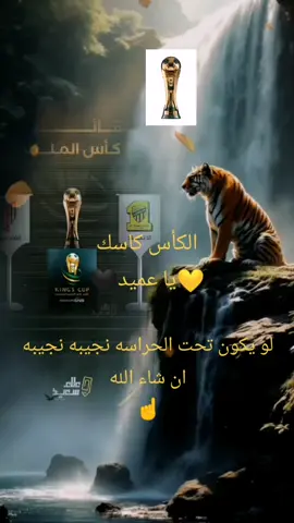 #CapCut #stitch #wedding #wedding #on #z #مالي_خلق_احط_هاشتاقات #مشاهير_تيك_توك #meme #جدة #الاتحاد #EkspresikanDenganCapCut #findeaño2023 #makeup #f 