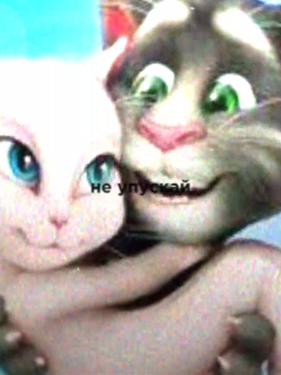 And One - Sweety sweety #lyrics #cat #andone #sweetysweety 