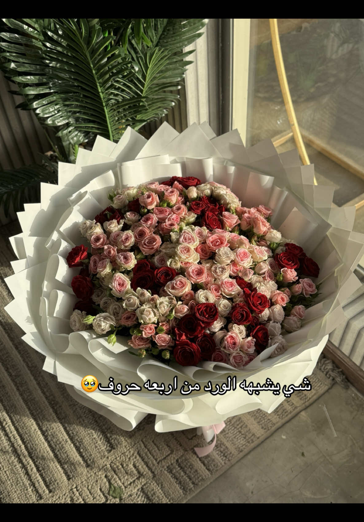 باقة بيبي روز الوان حسب اختيارك🤤 اسعار مميزه جداً #لطلب 0532018459 #باقة_ورد #باقات_ورد #اكسبلورexplore #هدايا_الرياض #fyp 