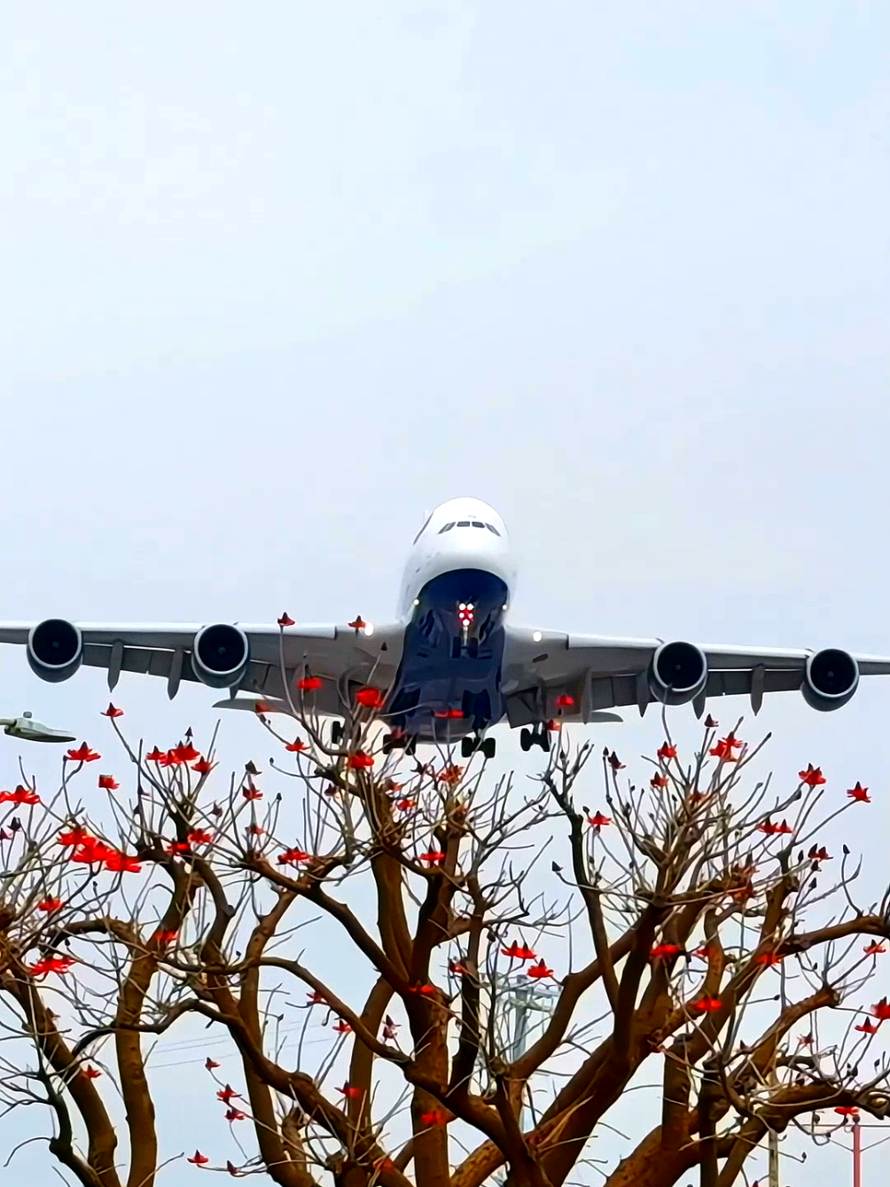Arriving in Style: A380 Landing Bliss! ✈️✨ #BritishAirways #A380 #AviationDreams #BeautifulDestinations #TravelVibes #LandingViews #Wanderlust #ExploreTheSky #TravelTok #JetSetters