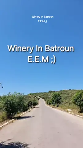#may #2025 #leb #lebanon #lebanon🇱🇧 #liban #لبنان #mountain #batroun #wine #winery 