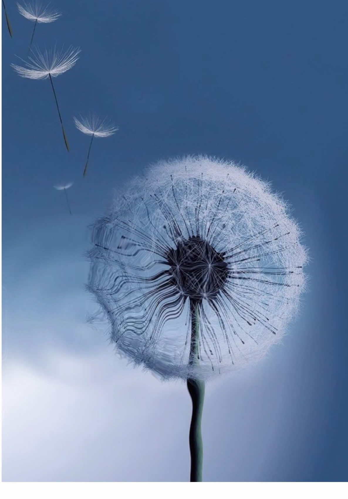 Old phone wallpaper  #wallpaper #old #scifomo#skeuomorphism #galaxys3 #android #ios #iphone #flowers #flower #animuspax #cute #positive #beauty #planets #dreamcore #corecore #liminalspaces #nature #liminal #viral #liminalspace #vibe #backrooms #nostalgia #comfort #windows #toryou #circles #edit #teamwork #radiohead #landscape #windows #blackcircle #space #star #postphotography #hopecore #aesthetic #foryou #tumblr #collage #dreamcore #weirdcore #forest #water #Summer #abstract #ethereal #sun #nostalgia #hands #photography #digitalcam #film #butterfly #stars #sparkle #foryourpage #ocean #seagull #art #photography #artbook #contemporaryart #forest #collage #videoart #melancholy #fypシ #fyp 