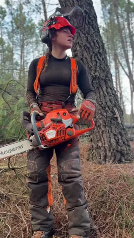 🔥 Husqvarna 562XP Mark ll 🔥 #forestry #logger #forestal #galicia #madera #motosierra #woodworking #loggerlife #tree 