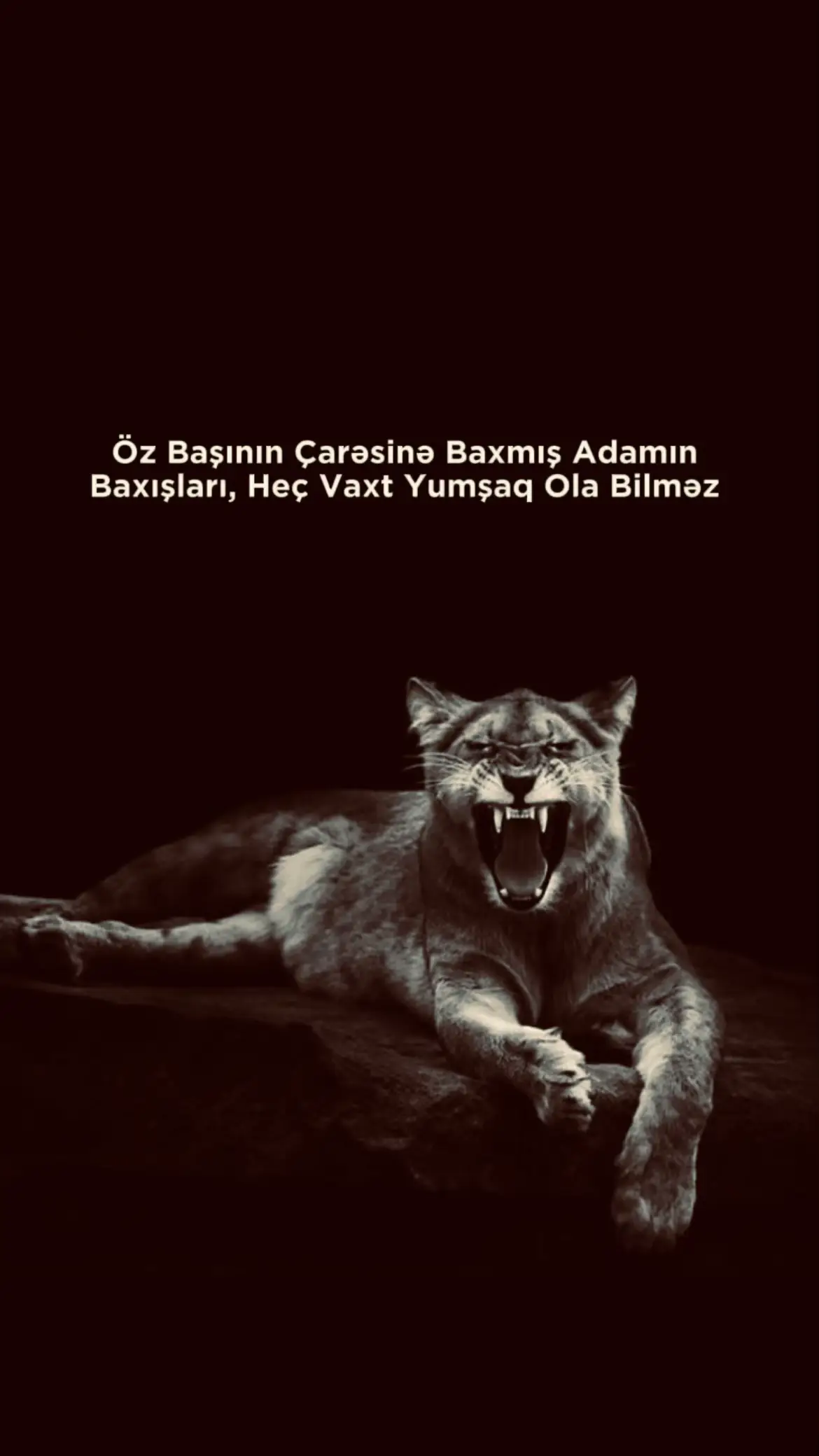 #hsynv011 