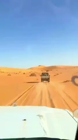 #الجنوب_التونسي🇹🇳👑 