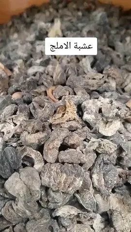 عشبة الاملج #تطويل_الشعر 