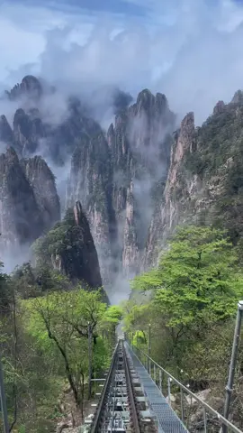 Mount Huangshan   #🇨🇳 #Anhui #Huangshan #ChinaView #ChinaVibes #Scenery #Landscape #Chinese #Aesthetic #Nature #Scenic #Culture #Travel #China #Cina