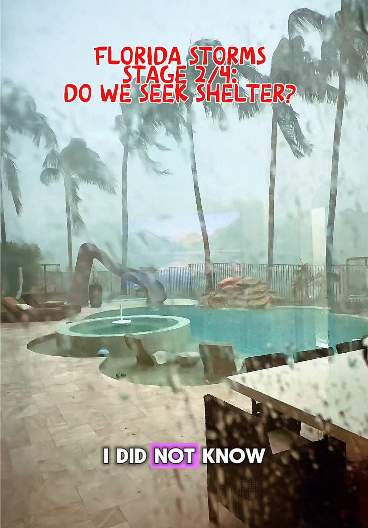 The adventures and stages of the Florida Storm.   Which stage would you like the most?