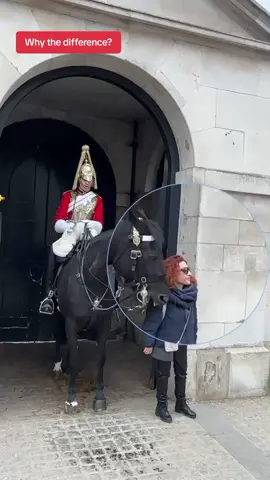 Why the difference?#kingguardhorse #kingguard #royalguard 