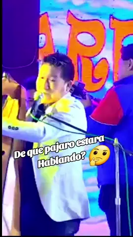 #pajaro #musica 