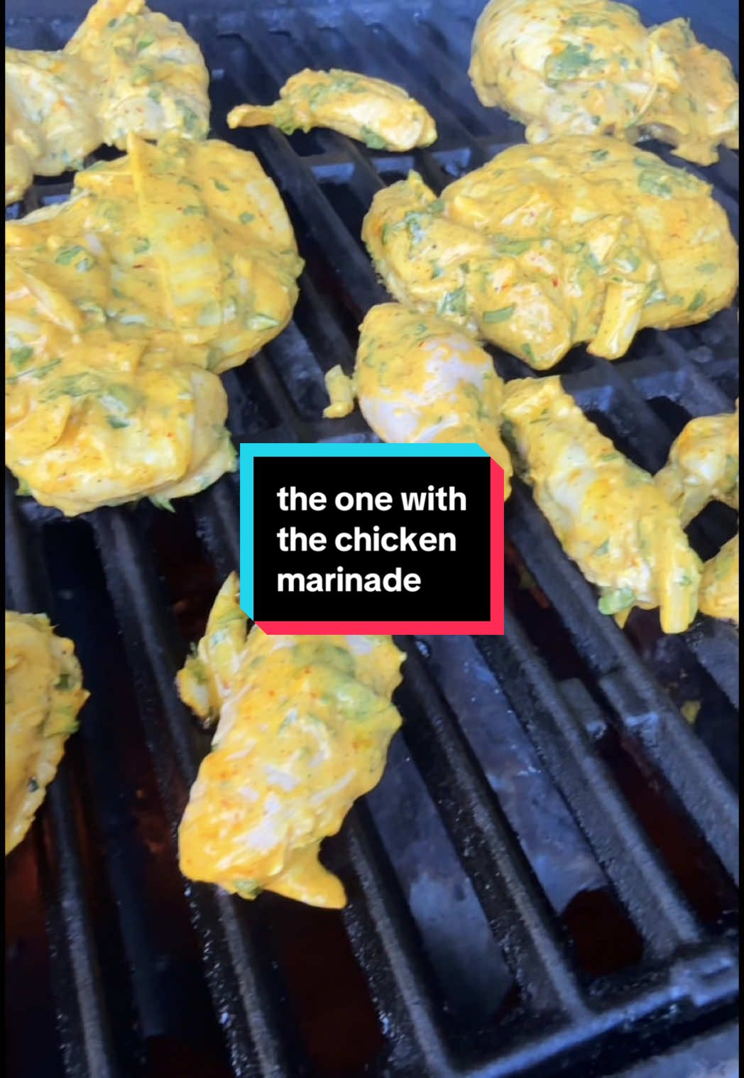 The absolute best chicken marinade - a must-try. #chicken #yogurt #healthy #healthyeatinghabit #persian #chickenmarinade #marinade #cooking #Recipe #recipes #recipesoftiktok #recipesforyou #chickenrecipe #chickenrecipes #healthyeatinghabits #Foodie #persianfood #foodiesoftiktok 