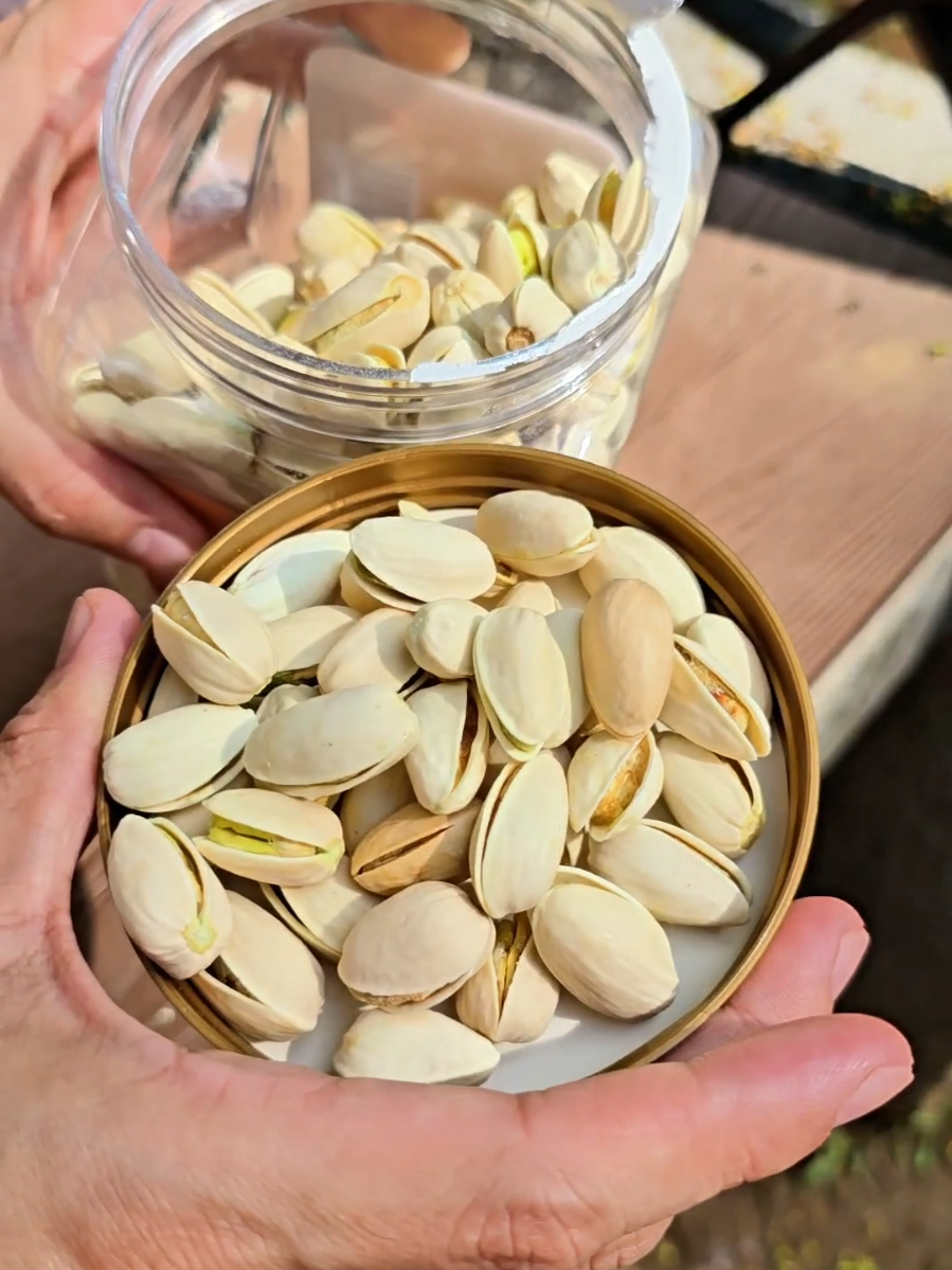 masarap na healthy pa Pistachio Nuts #pistachios #pistachionuts #pistachio #roastedpistachios #healthysnacks 