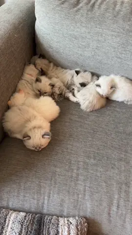They looked so annoyed with me 