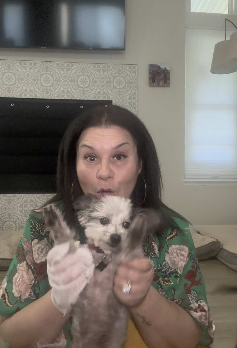 Love these #WLP PET GLOVE WIPES for Dogs & Cats! Great alternative to the groomer! #PetsOfTikTok #pets #dogsoftiktok #catsoftiktok 
