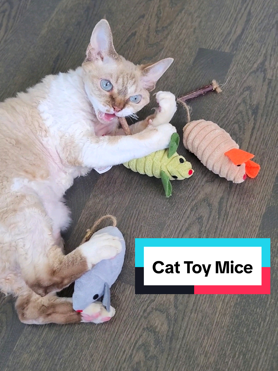 Cat toys from Potaroma never disappoint! Your cat will go crazy for these toy mice! #creatorsearchinsights  #cattoys #cattoyrecommendations #cattoymouse #toymice #pettoys #potaroma #catproducts #petreviews #cattoyreview @Potaroma Pets 