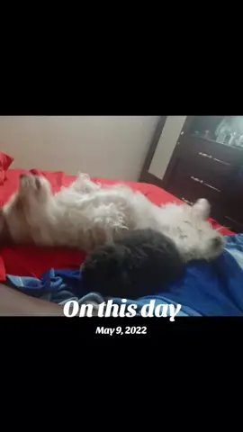 #onthisday