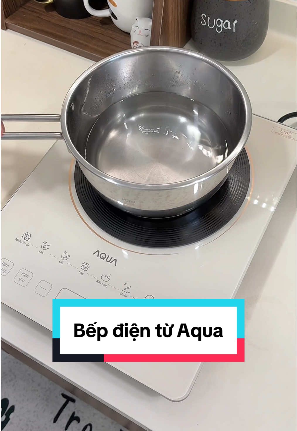 Bếp từ đơn Aqua mẫu mới 2025 nhỏ gọn xinh thật sự, giúp nấu ăn nhanh tiết kiệm gas tiết kiệm điện dùng an toàn lắm anh chị #bếp #beptu #bepdientu #bepdientuaqua #aqua #xuhuong 