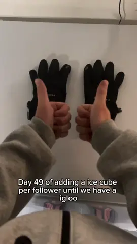Day 49 of adding a ice cube per follower until we have a igloo#ice_igloo_experiment #follow #heart #comment #follower #day49