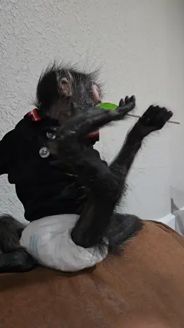 jejejje como chupa la paleta el @Jorge monito 🤣🤣🤣 #jorguito #julia #rafaelito 