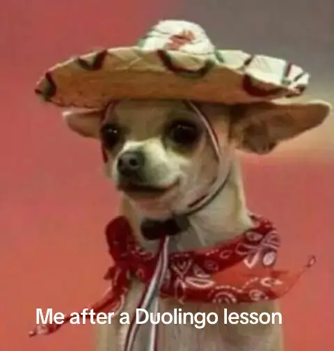 @Duolingo 